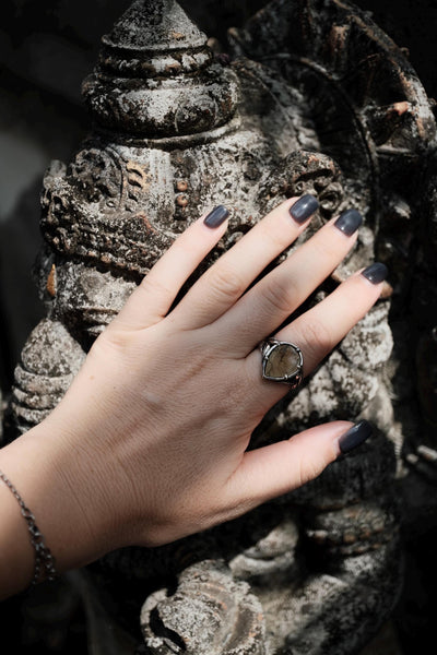 Sonora Dendritic Agate Silver Ring